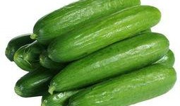 太原市网红吃小瓜的店叫什么